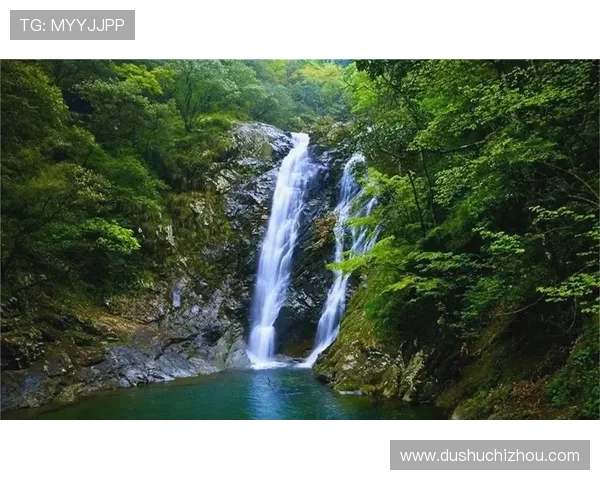 上葡京自助山：提供专业导游带领的生态旅游与文化探索之旅