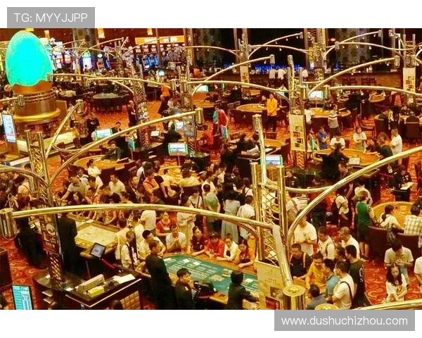 新葡京娱乐城：享受顶级娱乐设施与精彩表演的理想场所