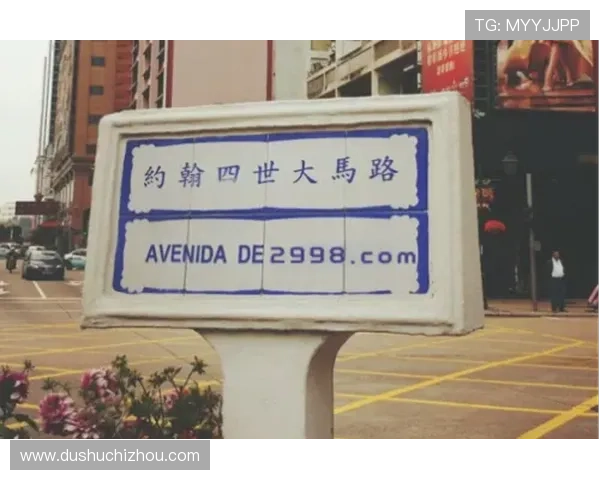 澳门新葡京旗舰厅下载官网下载安装流程详解，快速上手享受高品质娱乐体验