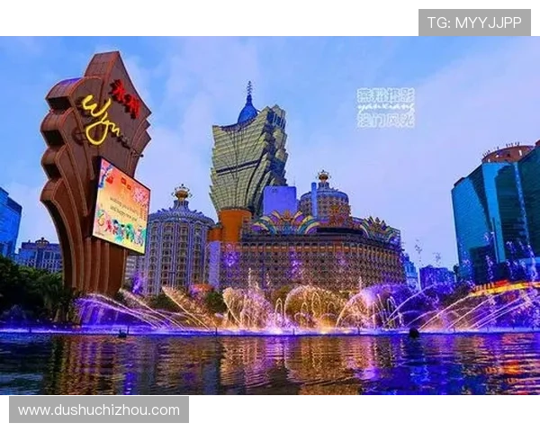 澳门葡京入口安全保障,保障您的账户安全与资金安全的最佳选择