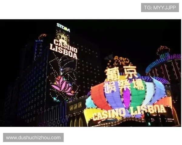 澳门葡京国际站：详细解析其优质的客户服务与便捷的支付方式