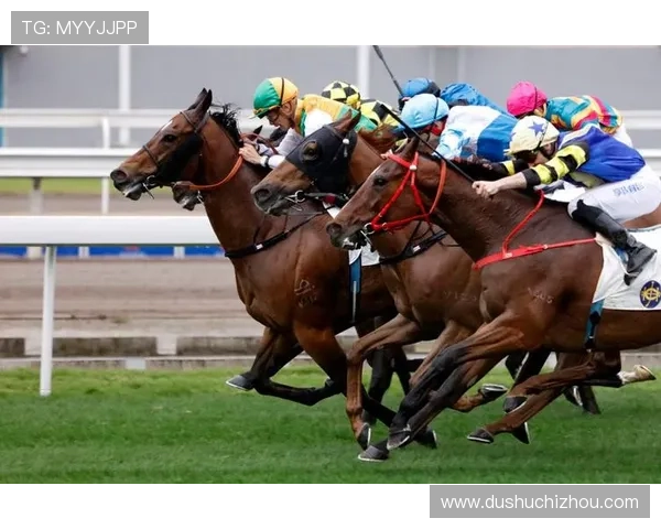 hkjc网娱乐：如何通过香港赛马会在线娱乐平台参与体育博彩与彩票投注