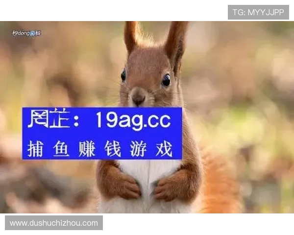 新澳门彩备用网址提供最全的安全保障和最新的游戏资讯，助你轻松畅享娱乐体验