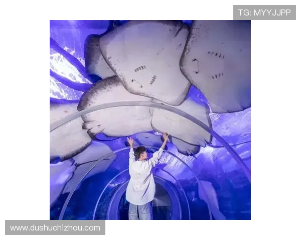 海洋之神娱乐官网官方平台推荐，快速注册登录享受海底世界的无限精彩